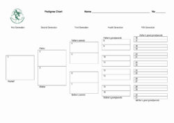 Custom 4 Generation Pedigree Chart Template Word