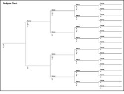 Free Blank 5 Generation Family Tree Chart Template Word Sample