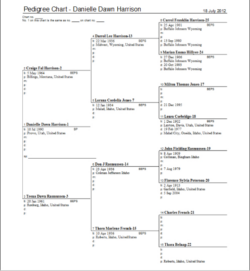 Free Printable 4 Generation Pedigree Chart Template Pdf Sample