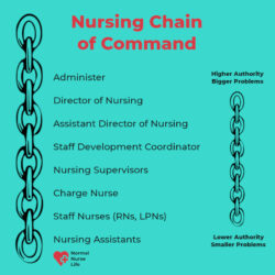 Free Printable Chain Of Command Chart Template  Sample