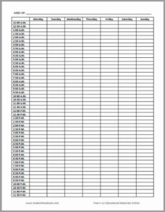 24 Hour Chart Check Template Word Sample