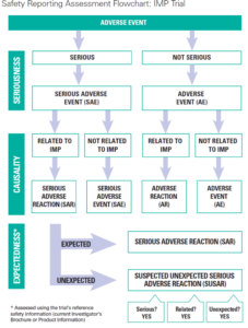 Blank Clinical Trial Flow Chart Template  Sample