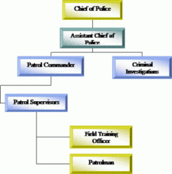 Chain Of Command Flow Chart Template Pdf Sample