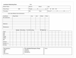 Custom Anesthesia Chart Anesthesia Record Template Doc Sample