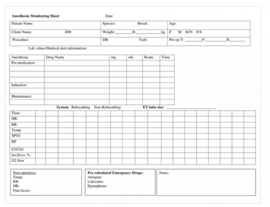 Custom Anesthesia Chart Anesthesia Record Template Doc Sample