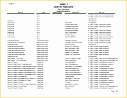 Custom Chart Of Accounts Numbering Template Doc Sample