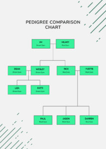 Editable 5 Generation Pedigree Chart Template Excel Sample