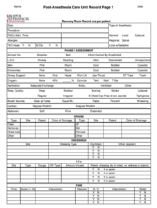 Editable Anesthesia Chart Anesthesia Record Template Pdf