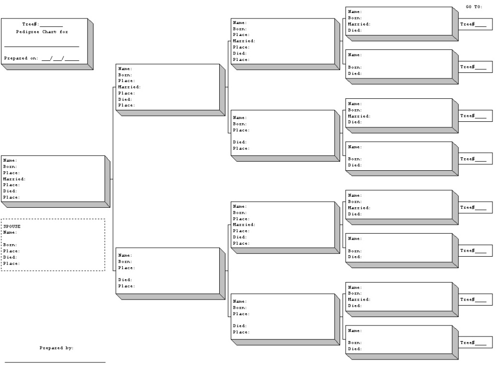 Free Blank 5 Generation Pedigree Chart Template Excel