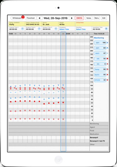 Free Blank Anesthesia Chart Anesthesia Record Template Doc