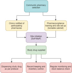 Free  Clinical Trial Flow Chart Template Word