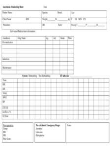 Free Custom Anesthesia Chart Anesthesia Record Template Word