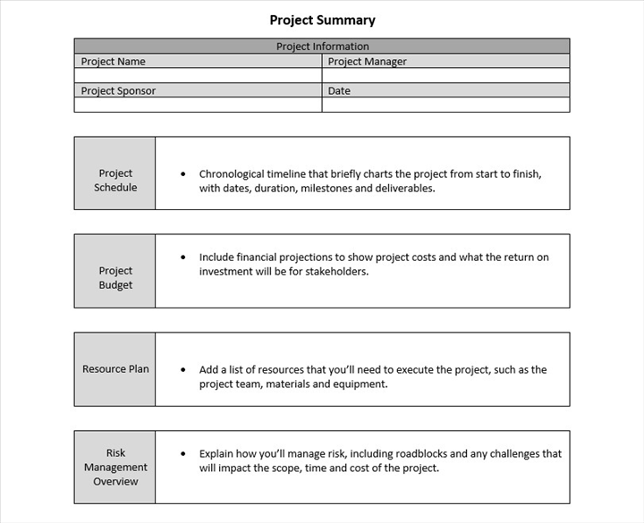 High Level Project Summary Template