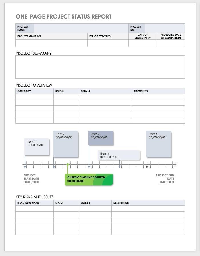 Project Management Summary Report Template