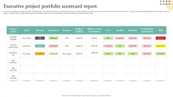 Project Portfolio Executive Summary Template