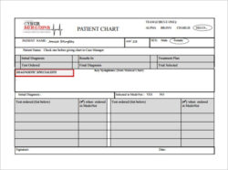 Blank Medical Record Chart Review Template Word