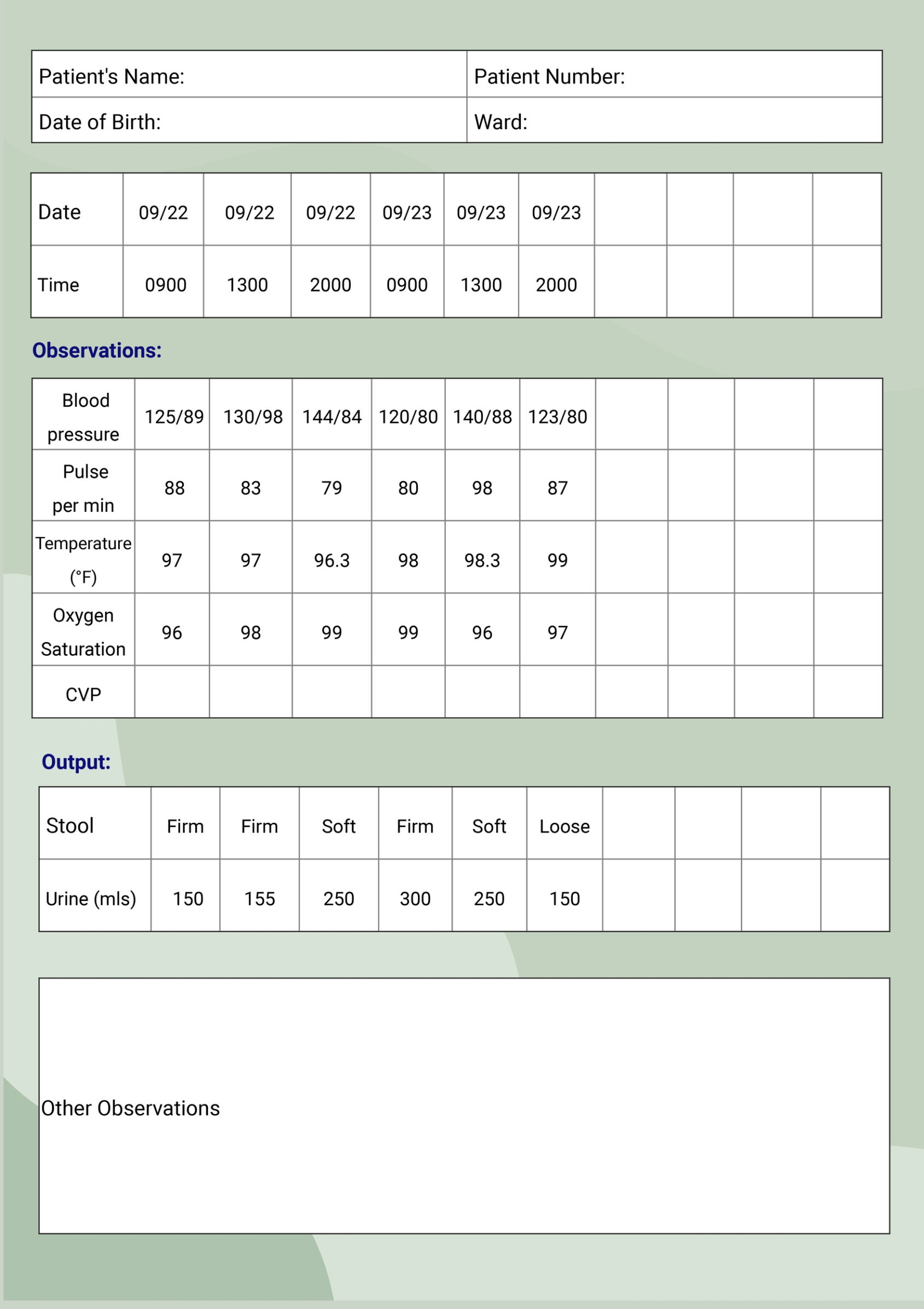 Blank Medical Record Chart Review Template Word