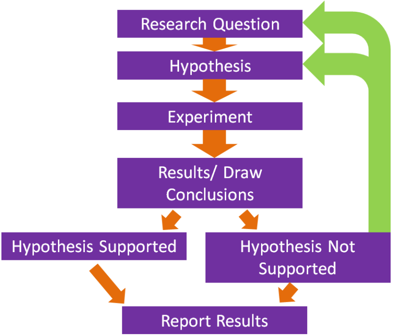 Blank Scientific Method Flow Chart Template Excel