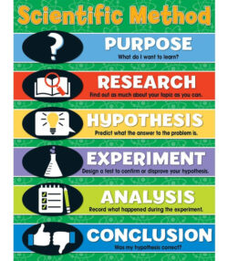 Blank Scientific Method Flow Chart Template Word