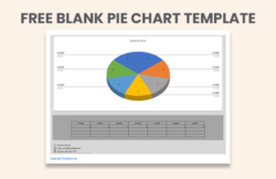 Custom 5 Piece Pie Chart Template Doc Sample