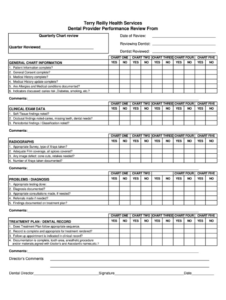 Custom Mental Health Chart Audit Tool Template Excel