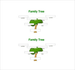 Editable 3 Generation Pedigree Chart Template Doc