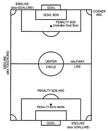 Editable Soccer Field Position Chart Template Word