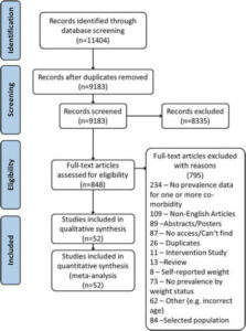 Editable Systematic Review Flow Chart Template Excel