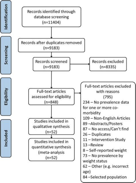 Editable Systematic Review Flow Chart Template Excel