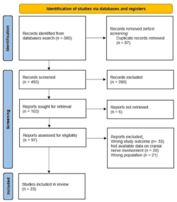 Free Blank Systematic Review Flow Chart Template  Sample