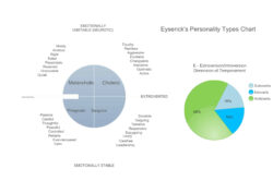 Free Custom 12 Piece Pie Chart Template Doc