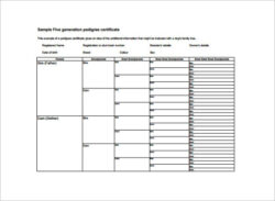 Free Custom 3 Generation Pedigree Chart Template Excel