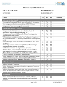 Free Custom Medical Record Chart Review Template Doc