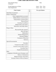 Free Editable Medical Record Chart Review Template Pdf Sample