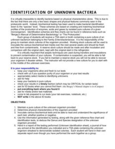 Microbiology Unknown Flow Chart Template Pdf