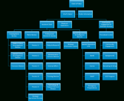 Police Department Organizational Chart Template Word