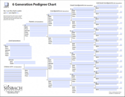 Blank 6 Generation Pedigree Chart Template Word