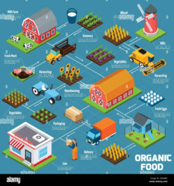 Blank Food Process Flow Chart Template Pdf