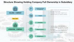 Blank Holding Company Structure Chart Template Word Sample