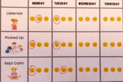 Blank Smiley Face Behavior Chart Template Pdf Sample