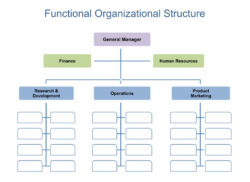 Board Of Directors Organizational Chart Template Excel Sample