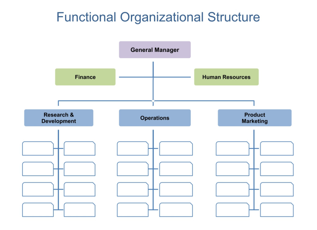 Board Of Directors Organizational Chart Template Excel Sample