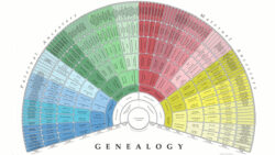 Custom 10 Generation Pedigree Chart Template Word