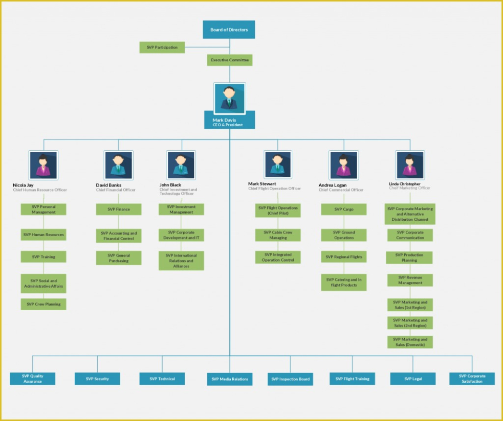 Custom Cross Functional Organizational Chart Template Excel Sample