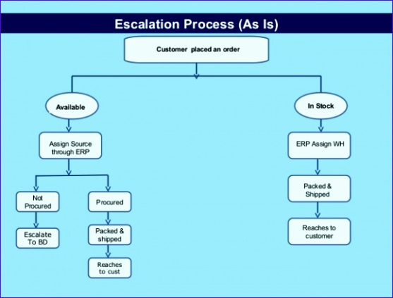 Custom Escalation Process Flow Chart Template Word Sample