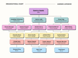 Custom Functional Organizational Structure Chart Template Word