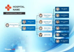 Custom Home Care Organizational Chart Template Word