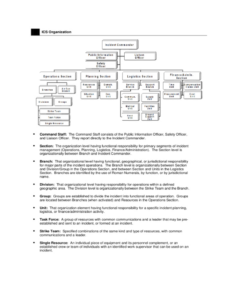 Custom Incident Command System Organizational Chart Template Doc Sample