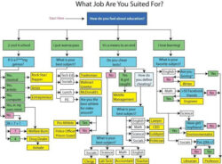 Free  Career Path Flow Chart Template  Sample