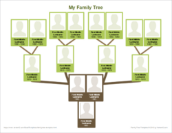 Free Custom 10 Generation Pedigree Chart Template Doc